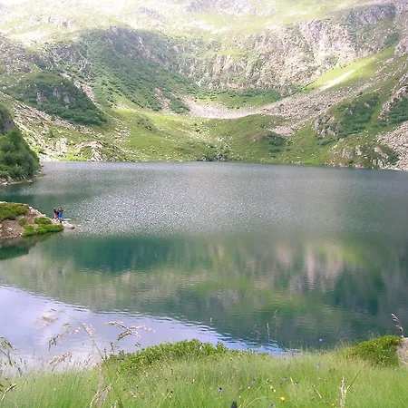 Fosine Пинцоло