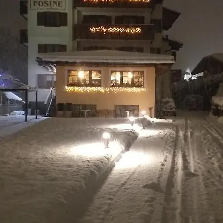 Отель Fosine Пинцоло
